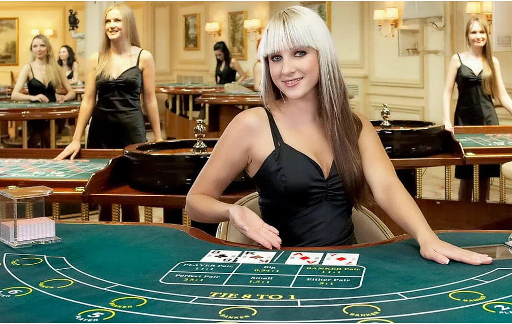 Dealer memandu permainan meja live di ST789
